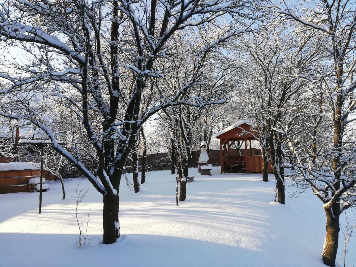 Drevenica Silvia Villa Liptovský Mikuláš Buitenkant foto